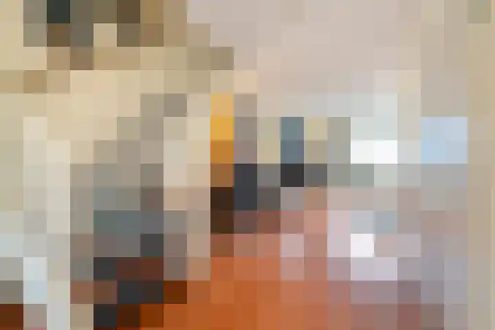 Bargengd 43 Hippolytushoef thumbnail 16