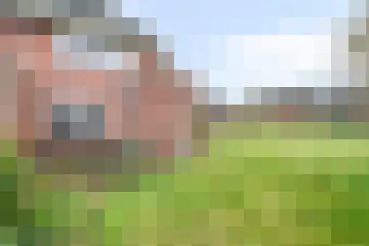 Bargengd 43 Hippolytushoef thumbnail 30