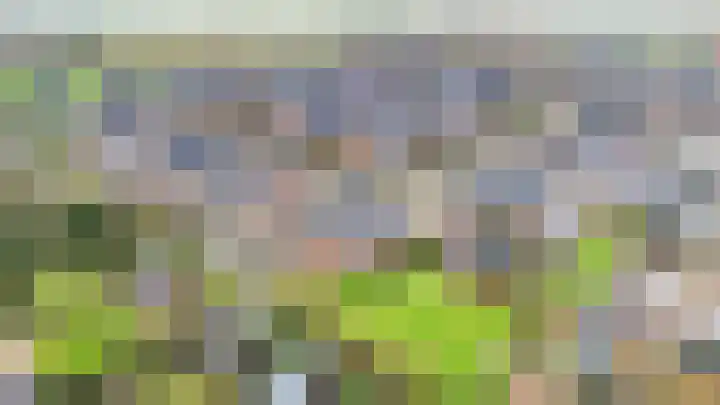 Bargengd 43 Hippolytushoef thumbnail 4