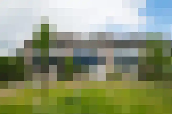Bargerbosch 26 Winterswijk thumbnail 4