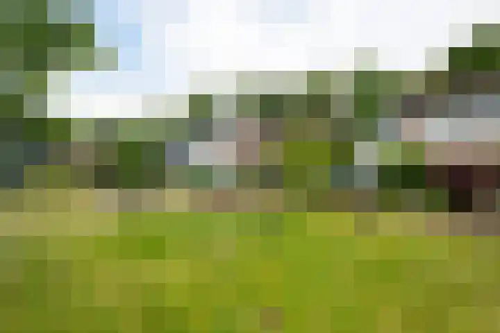 Bargerbosch 26 Winterswijk thumbnail 7