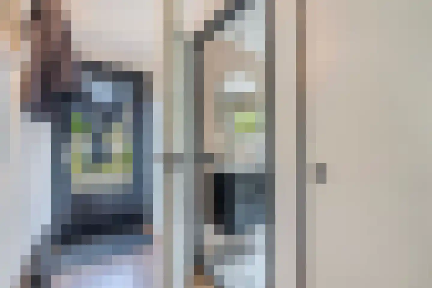Bargereed 100 Tzummarum thumbnail 12