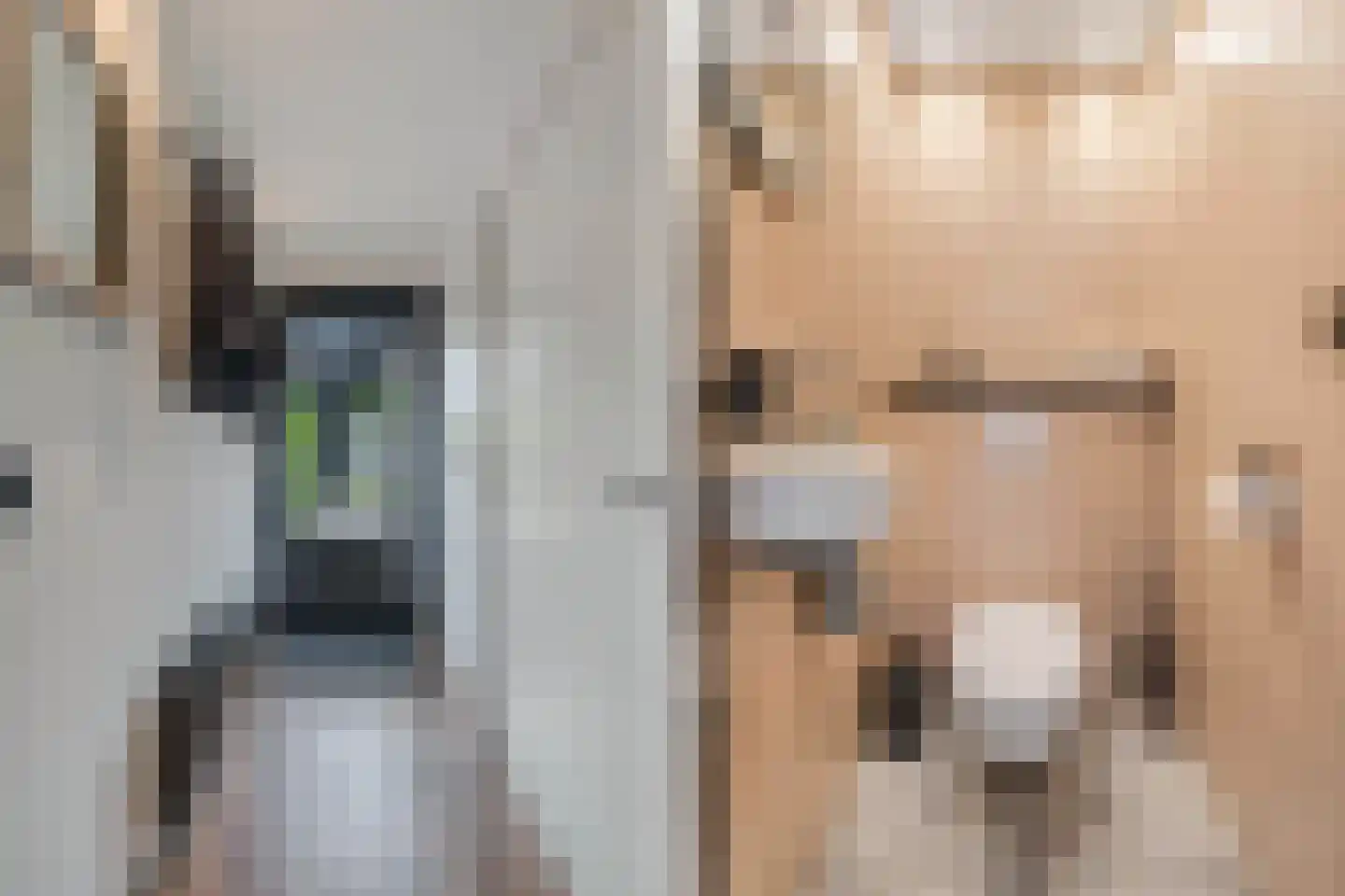 Bargereed 100 Tzummarum thumbnail 13