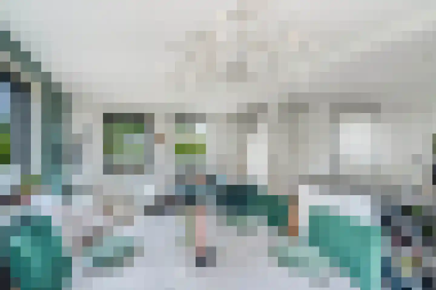 Bargereed 100 Tzummarum thumbnail 15