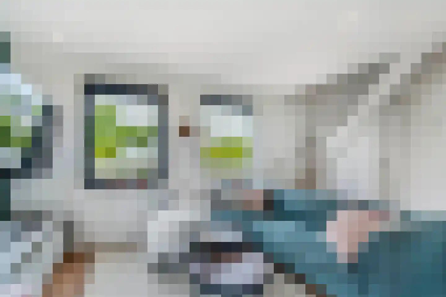 Bargereed 100 Tzummarum thumbnail 16