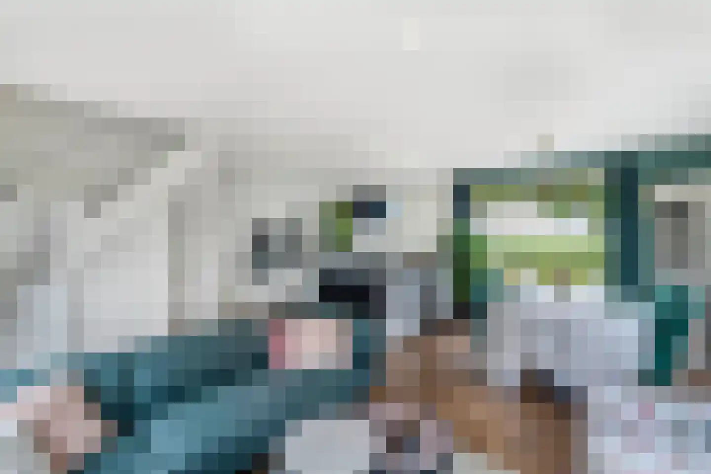 Bargereed 100 Tzummarum thumbnail 17