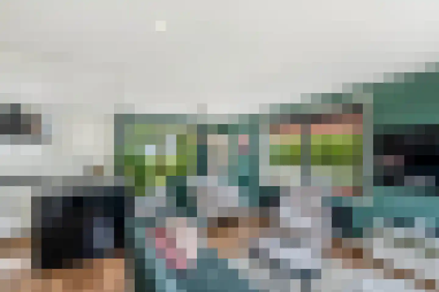 Bargereed 100 Tzummarum thumbnail 18