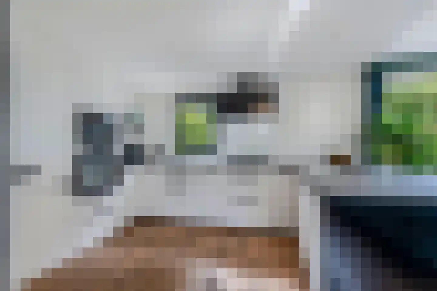 Bargereed 100 Tzummarum thumbnail 21
