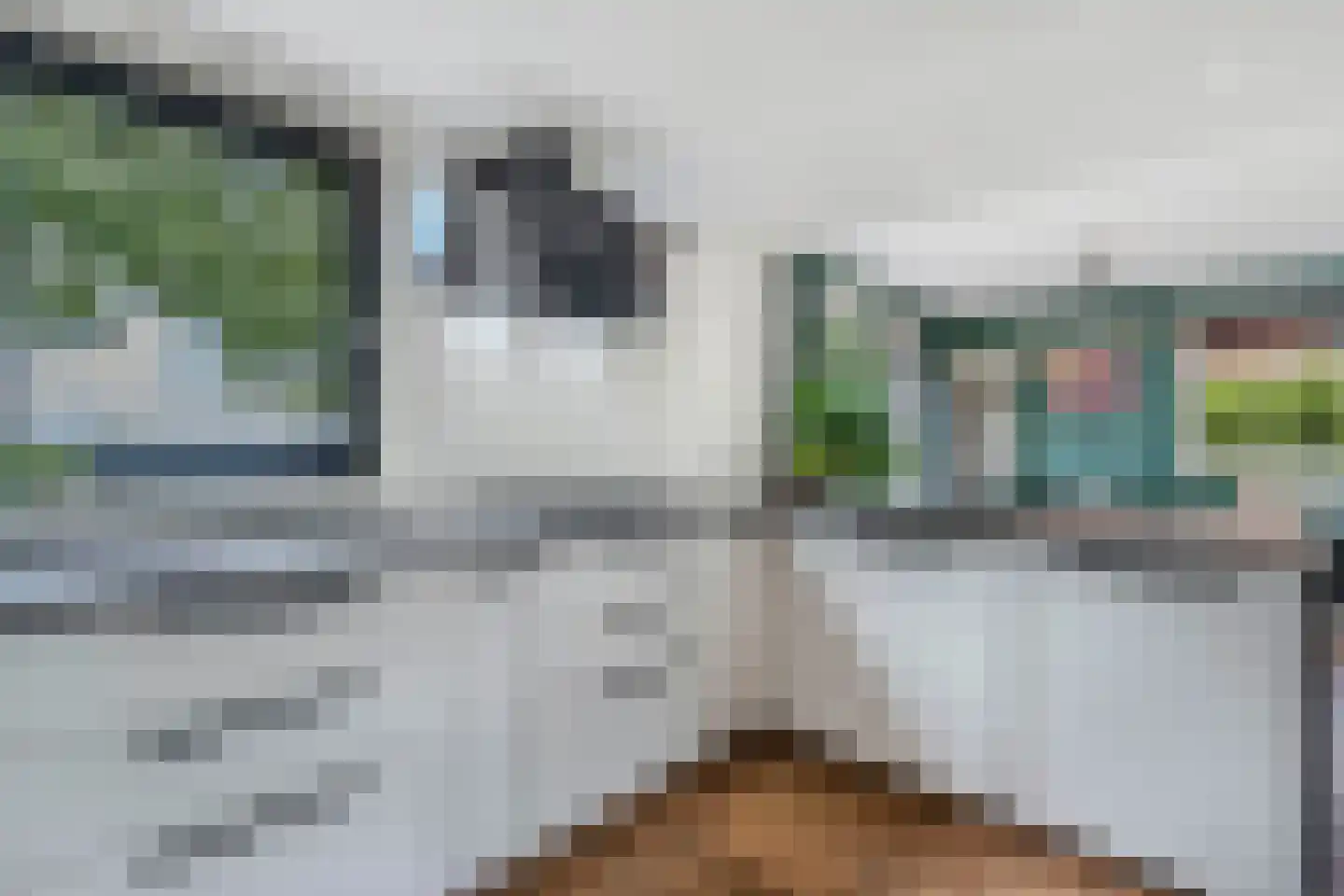Bargereed 100 Tzummarum thumbnail 22