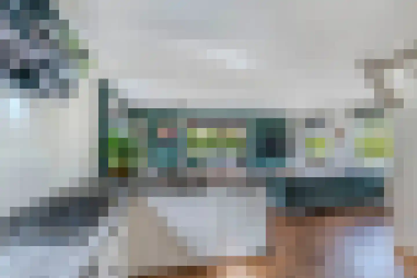 Bargereed 100 Tzummarum thumbnail 23