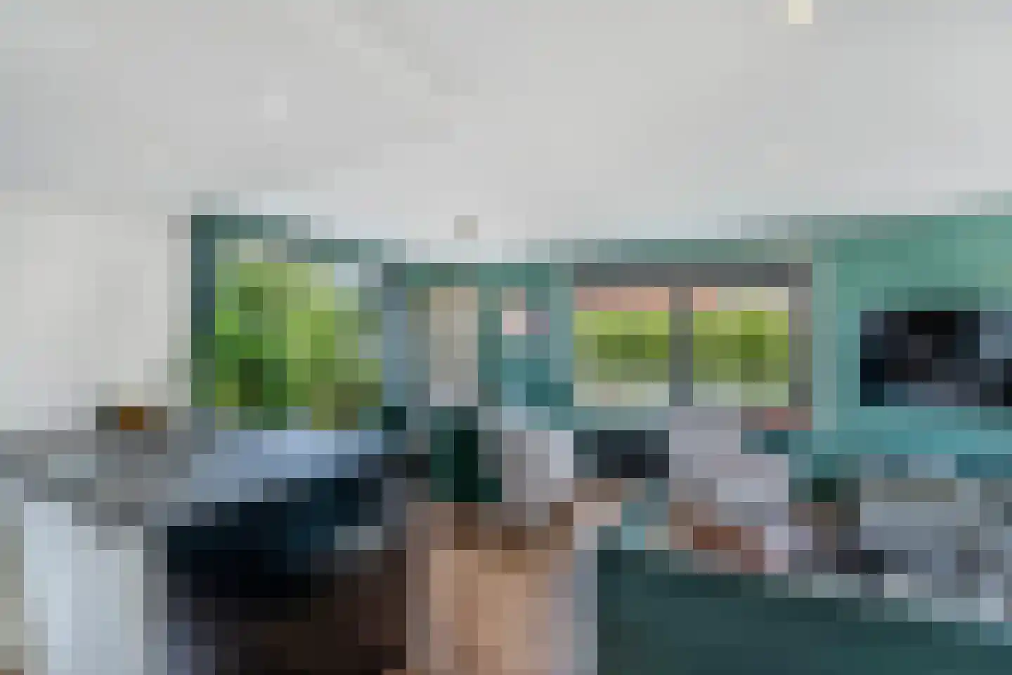 Bargereed 100 Tzummarum thumbnail 24