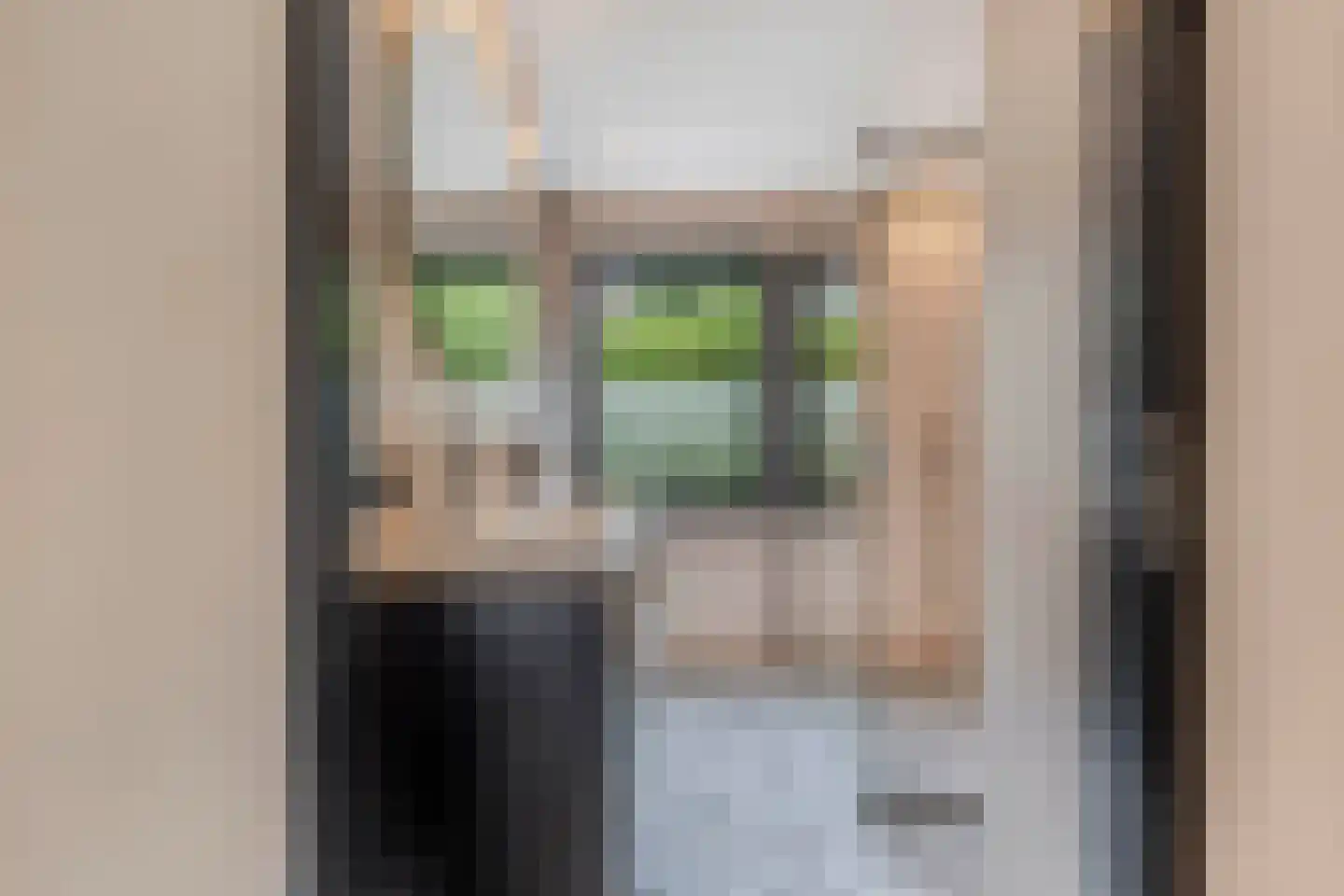 Bargereed 100 Tzummarum thumbnail 25