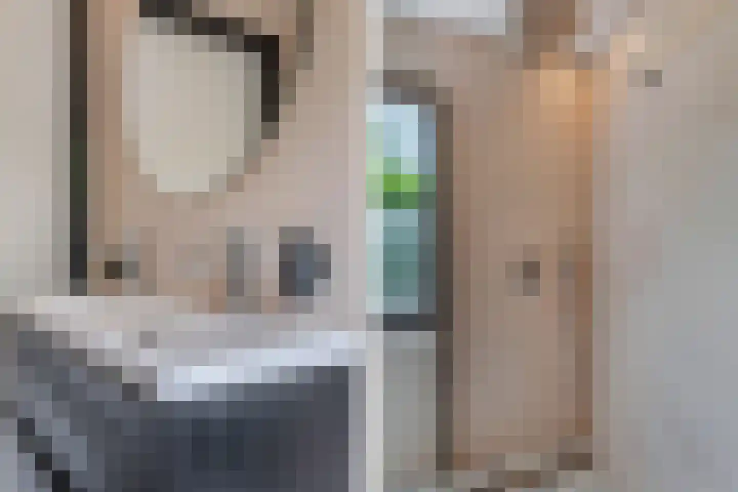 Bargereed 100 Tzummarum thumbnail 26
