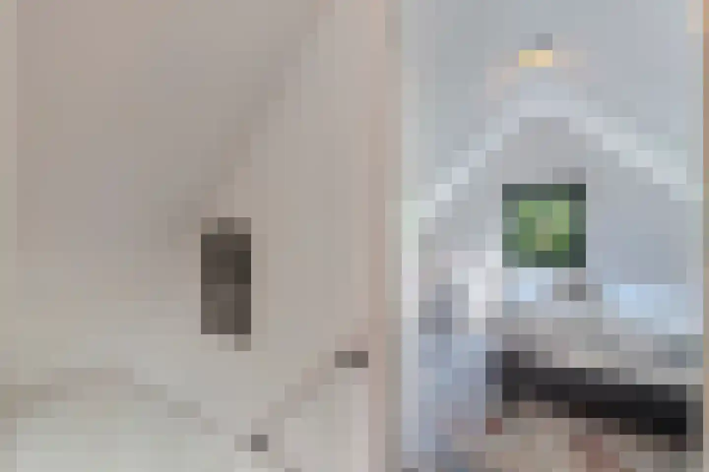 Bargereed 100 Tzummarum thumbnail 29