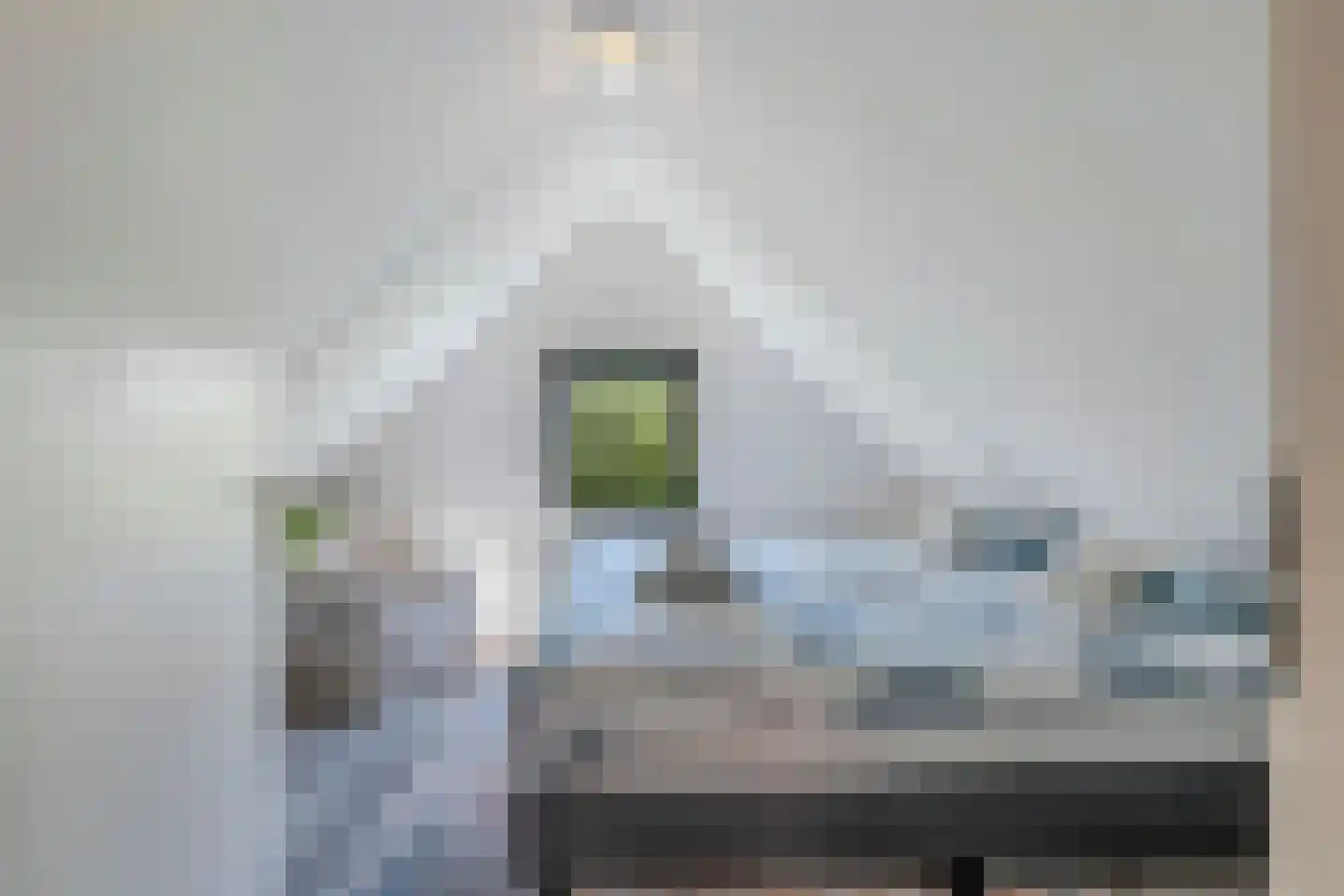 Bargereed 100 Tzummarum thumbnail 30