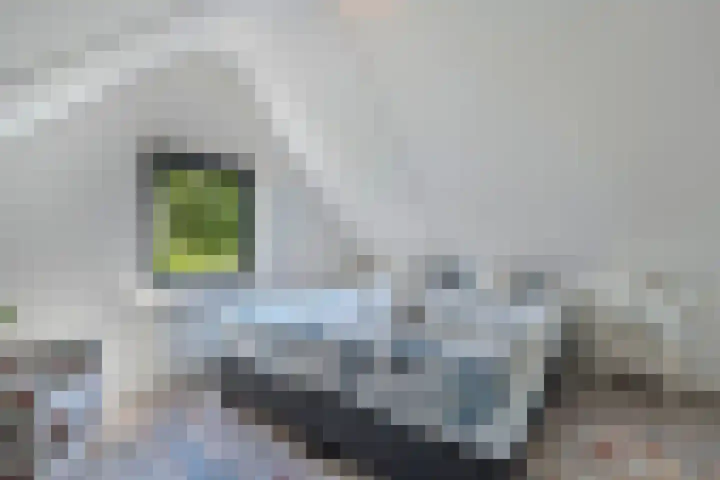 Bargereed 100 Tzummarum thumbnail 31