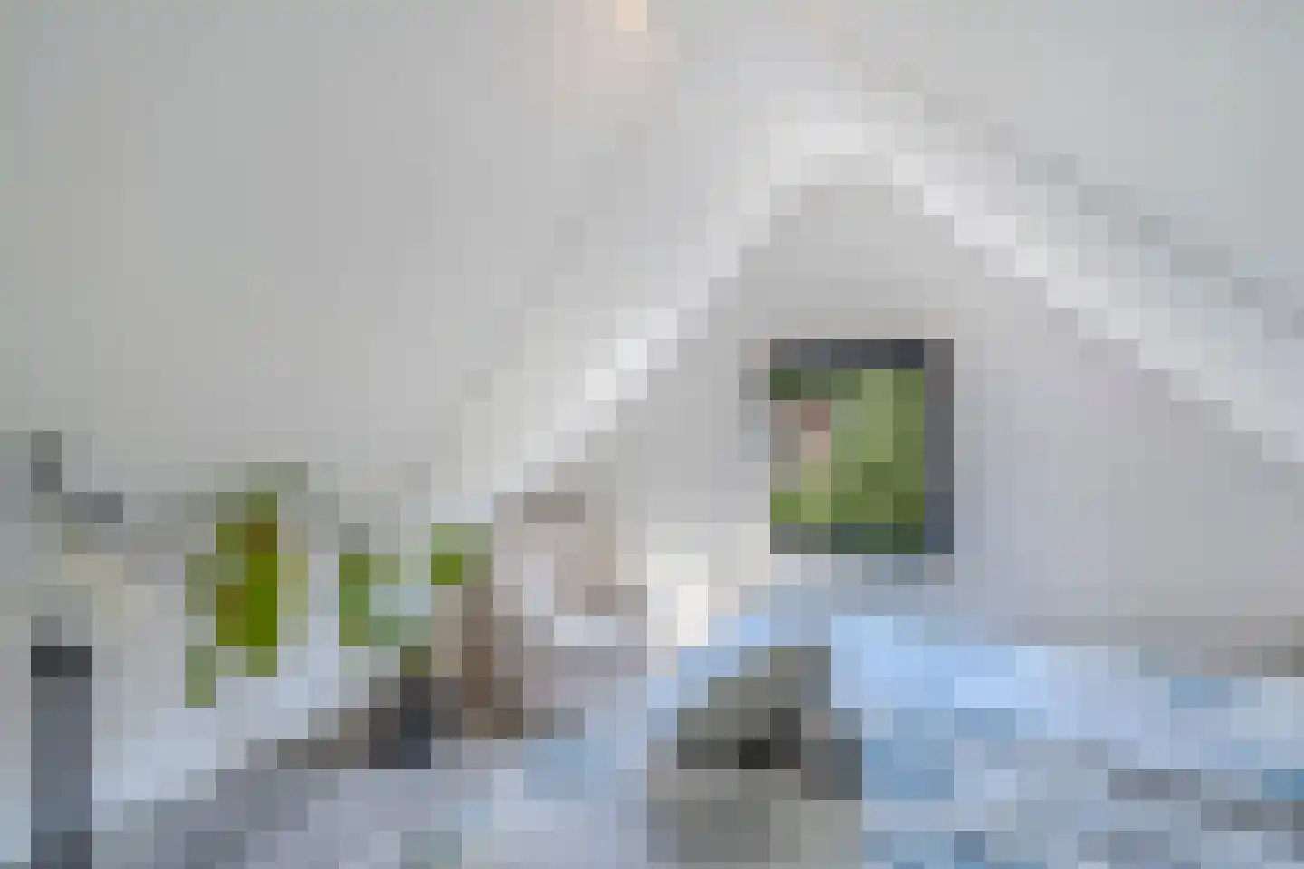 Bargereed 100 Tzummarum thumbnail 32