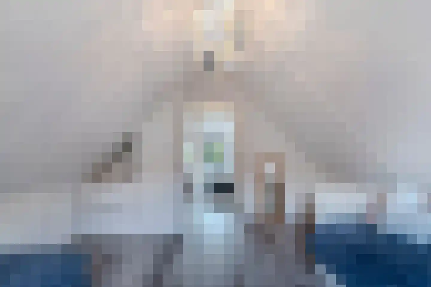 Bargereed 100 Tzummarum thumbnail 36