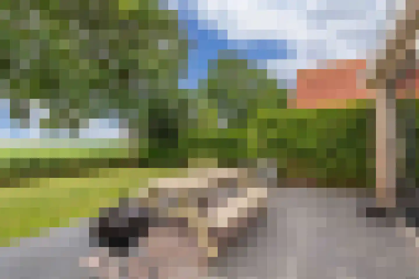 Bargereed 100 Tzummarum thumbnail 37