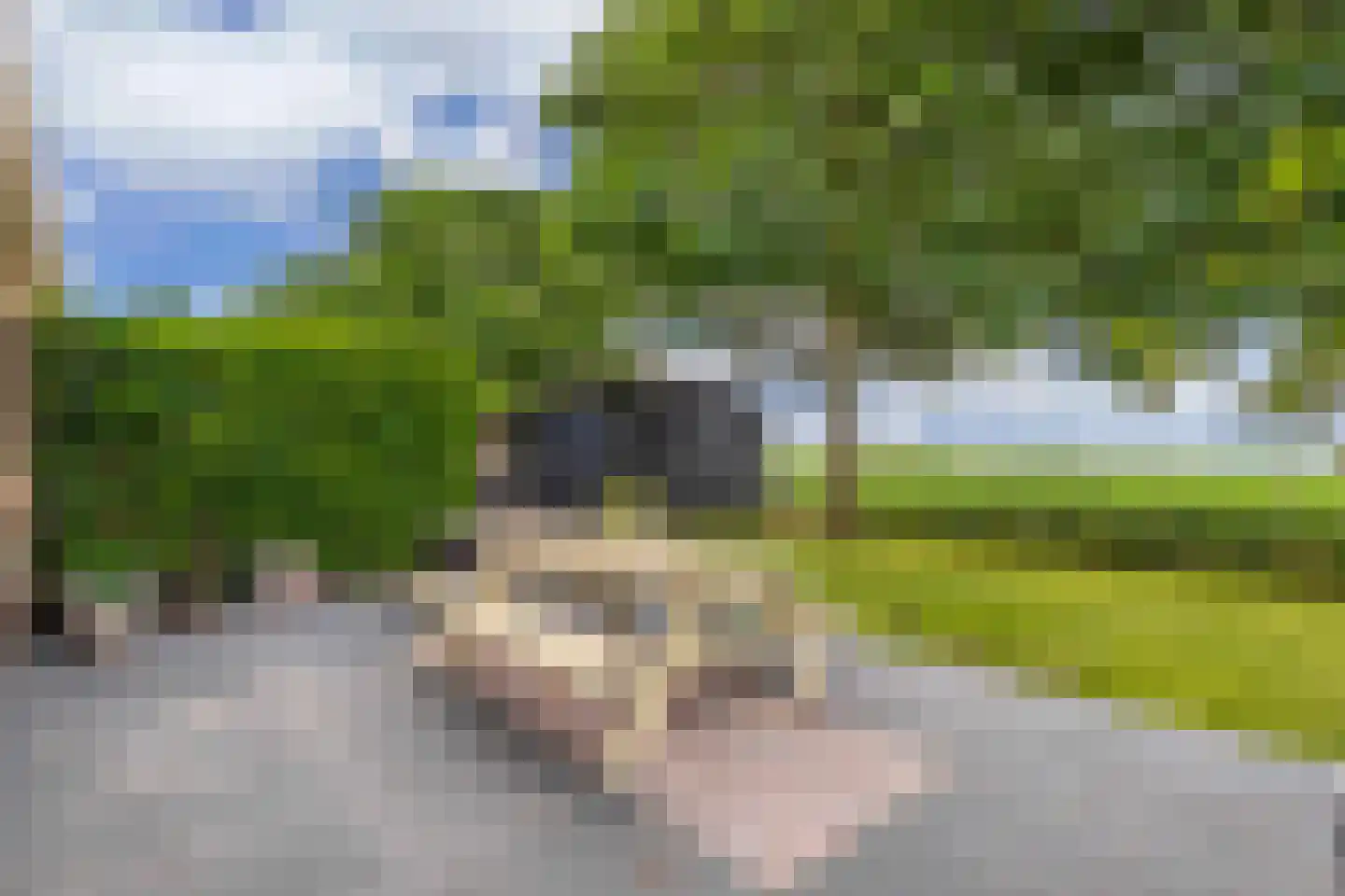 Bargereed 100 Tzummarum thumbnail 38
