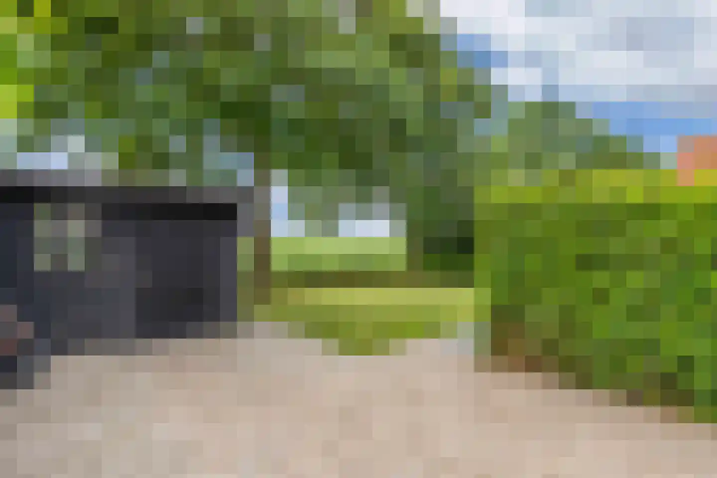 Bargereed 100 Tzummarum thumbnail 39