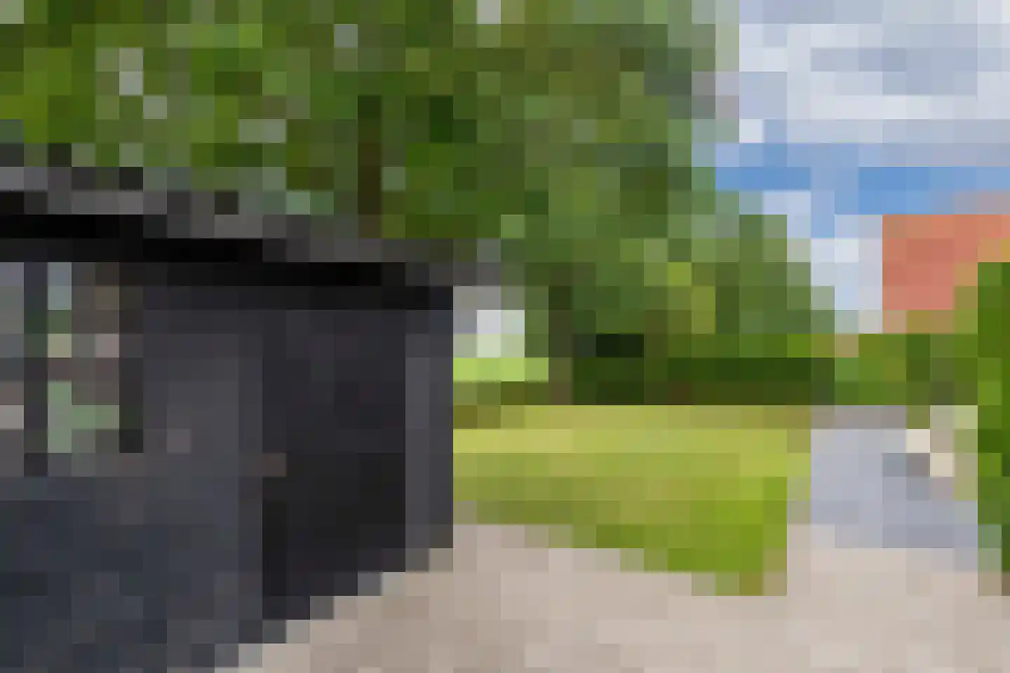 Bargereed 100 Tzummarum thumbnail 40