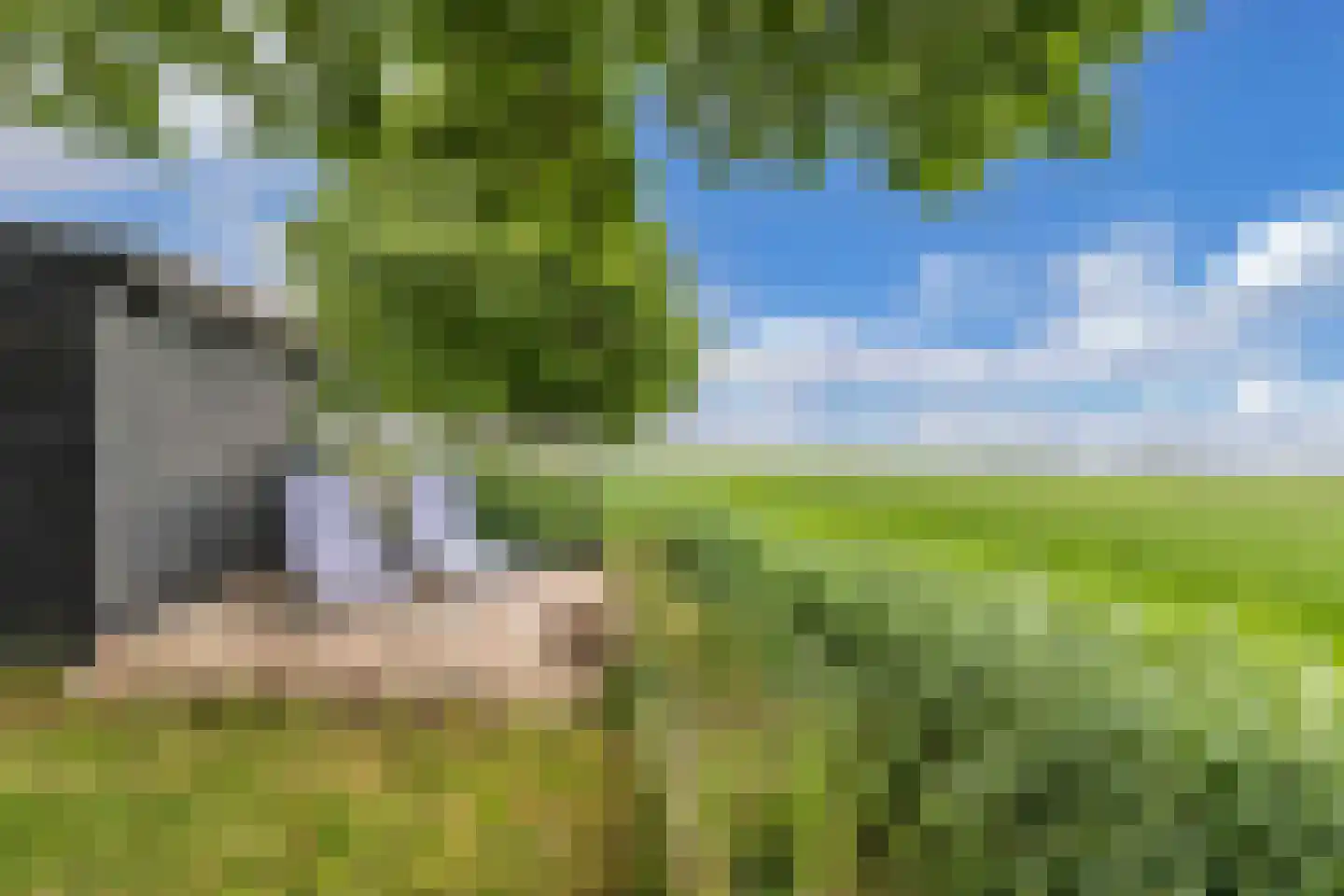 Bargereed 100 Tzummarum thumbnail 41