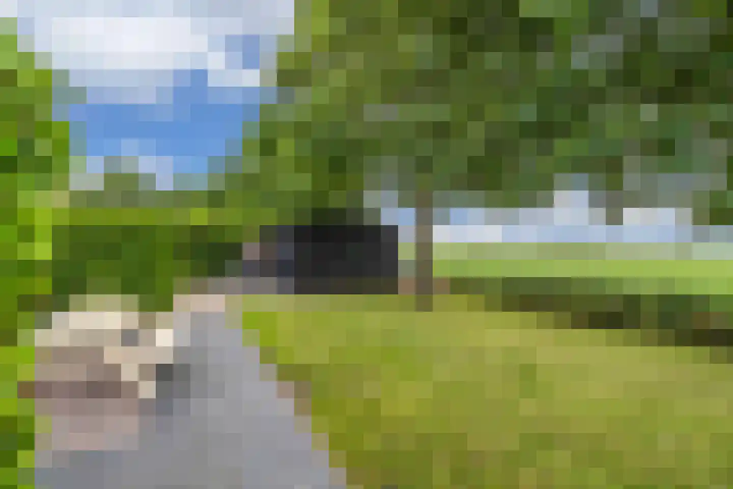 Bargereed 100 Tzummarum thumbnail 42