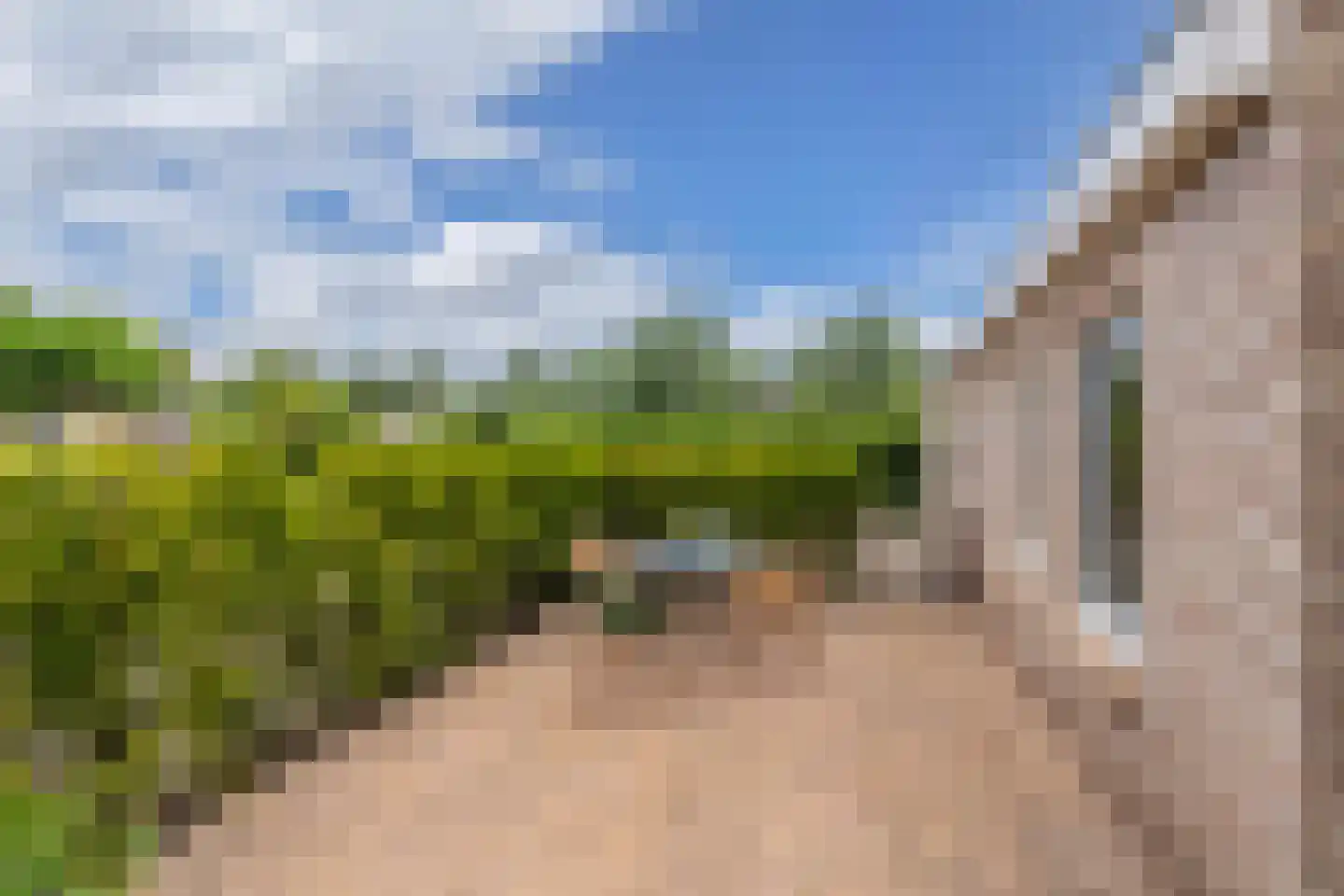 Bargereed 100 Tzummarum thumbnail 46