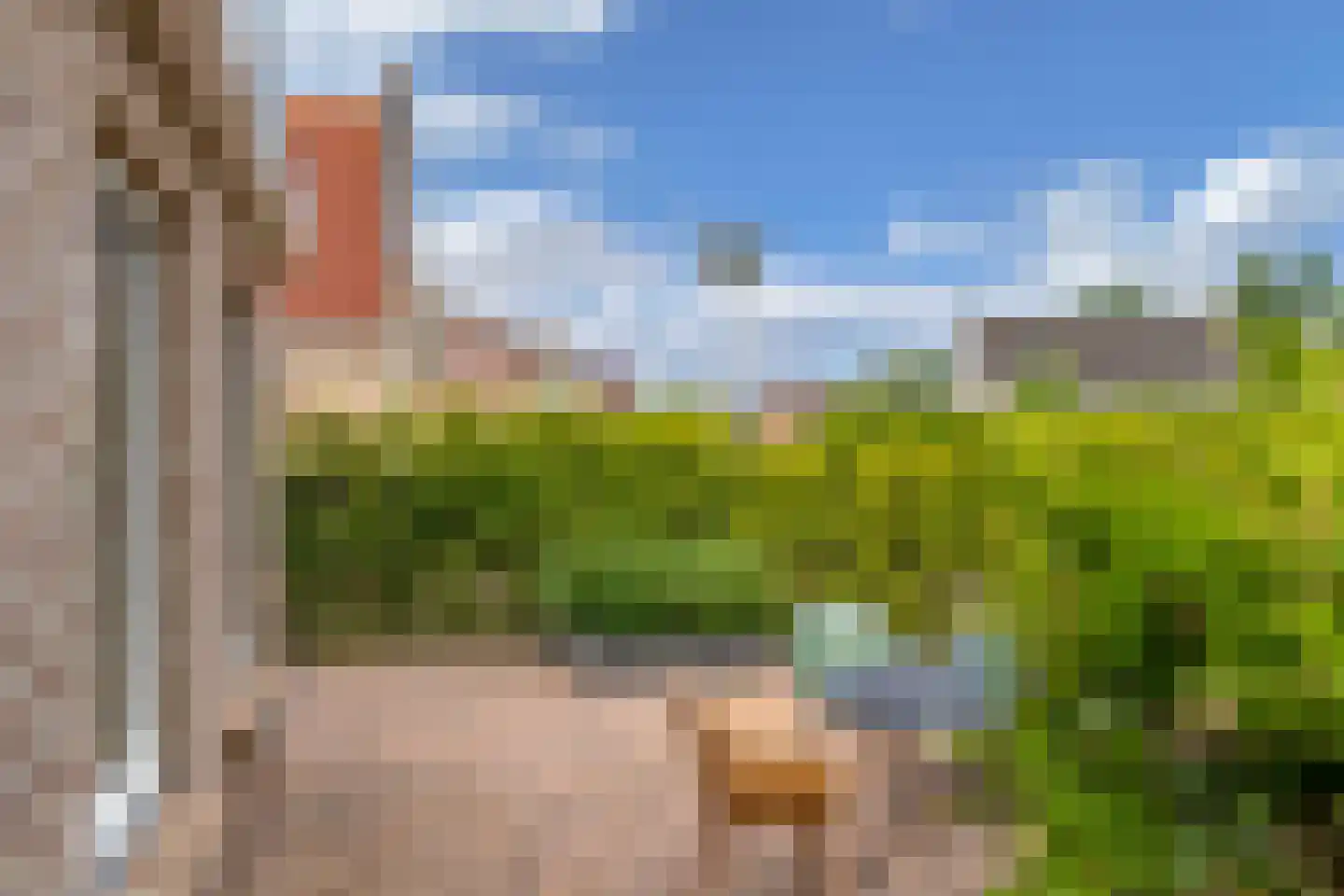 Bargereed 100 Tzummarum thumbnail 47