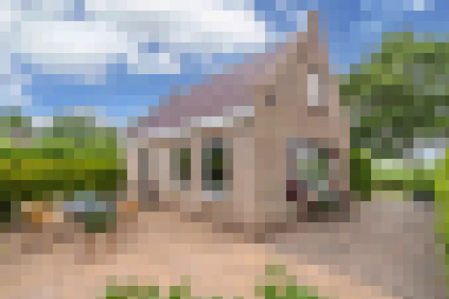 Bargereed 100 Tzummarum thumbnail 48