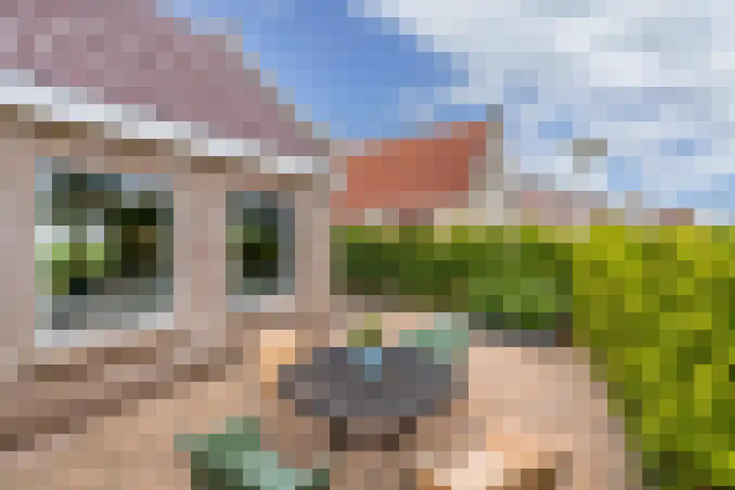 Bargereed 100 Tzummarum thumbnail 49