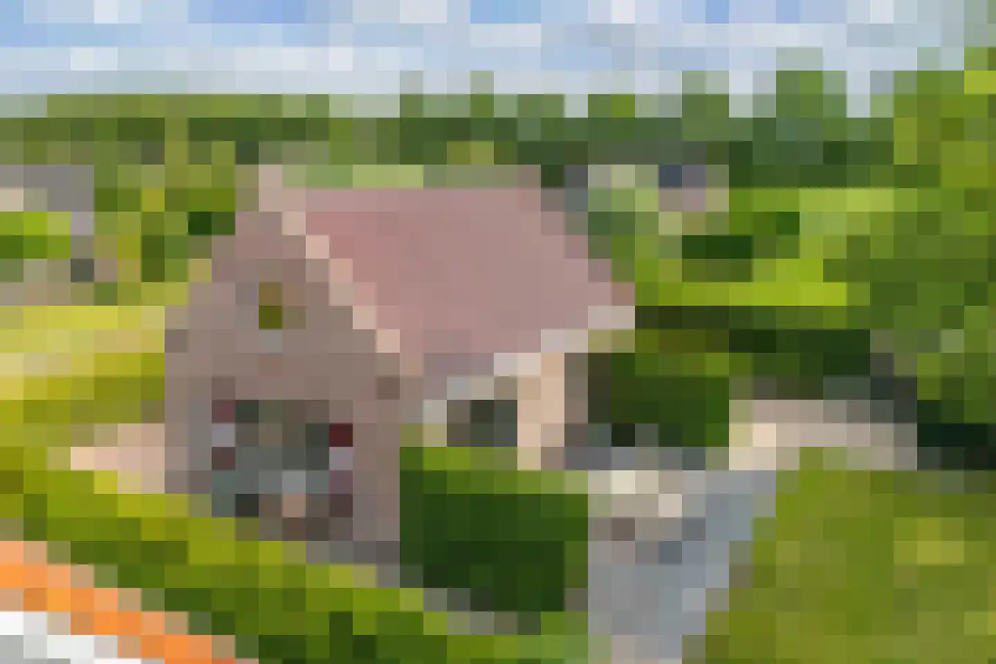 Bargereed 100 Tzummarum thumbnail 53