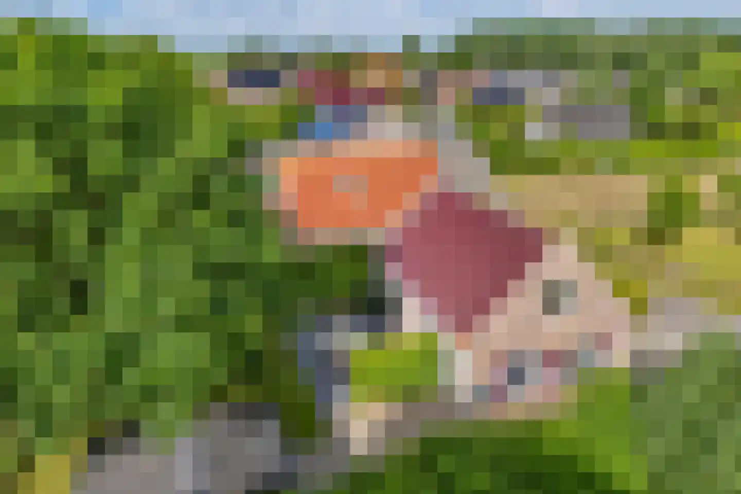 Bargereed 100 Tzummarum thumbnail 54