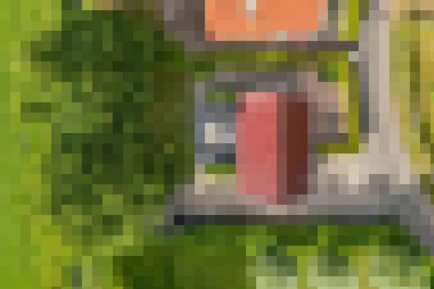 Bargereed 100 Tzummarum thumbnail 55