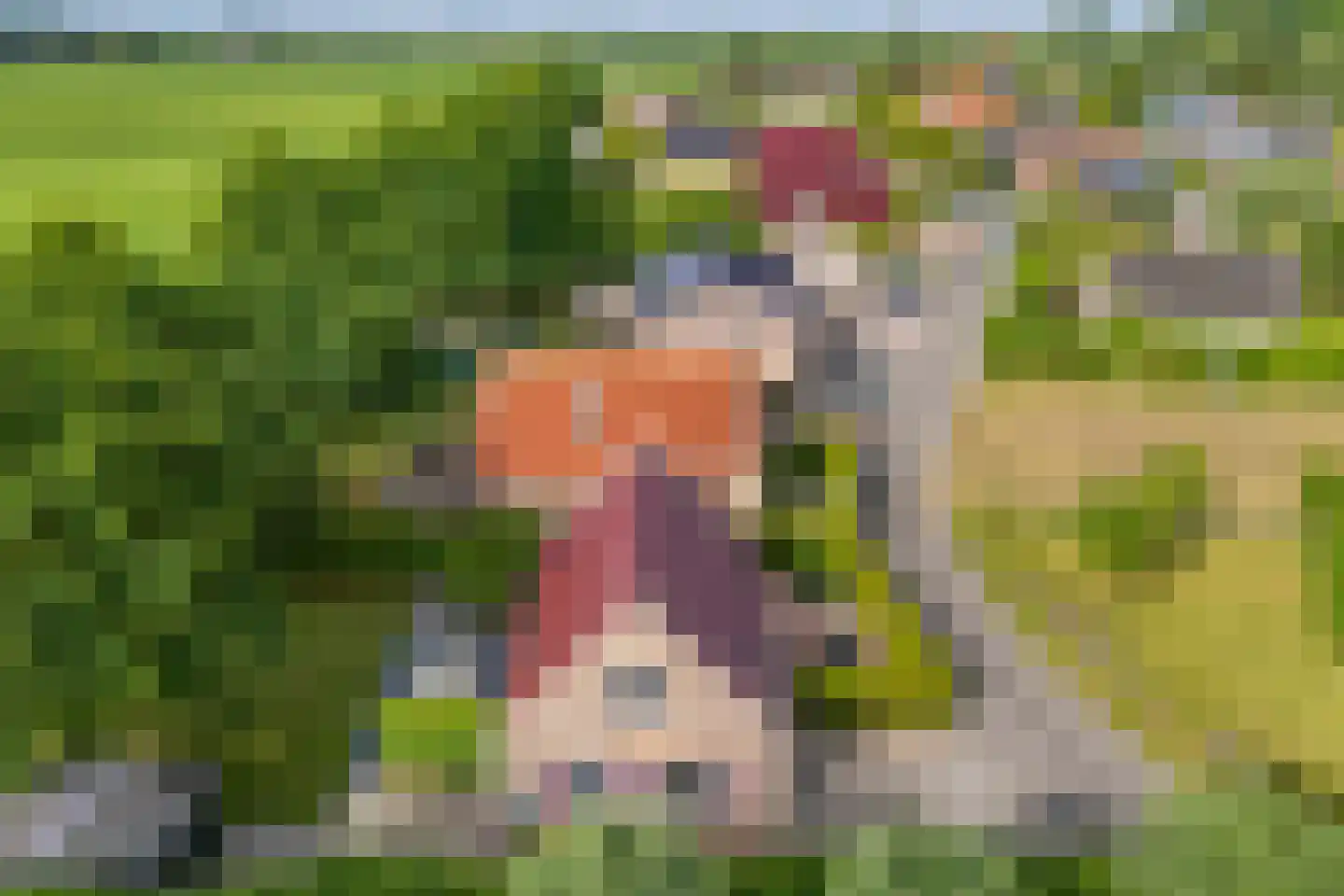 Bargereed 100 Tzummarum thumbnail 56