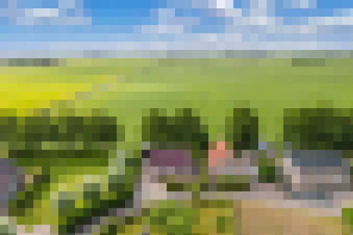 Bargereed 100 Tzummarum thumbnail 58