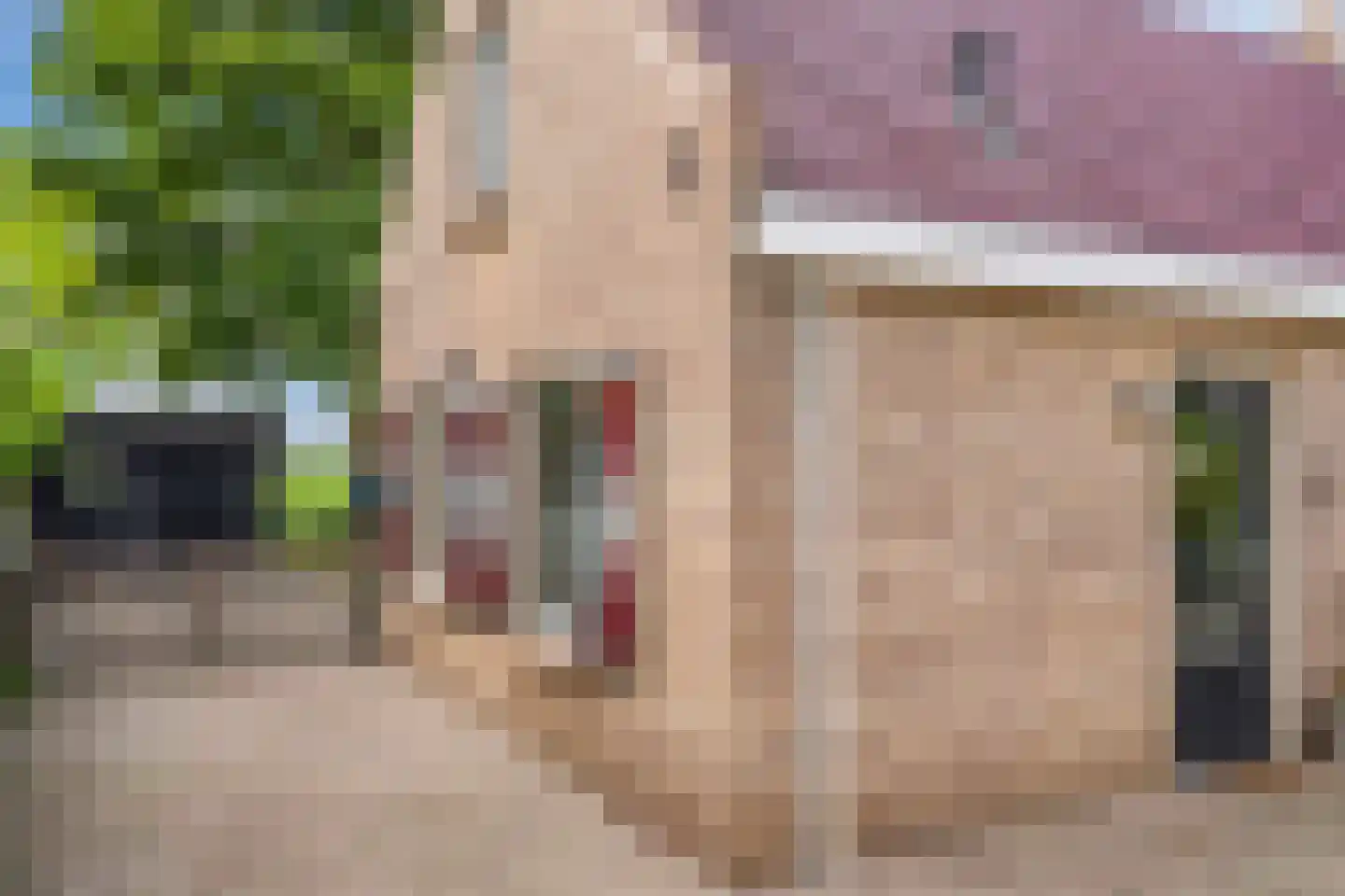 Bargereed 100 Tzummarum thumbnail 9