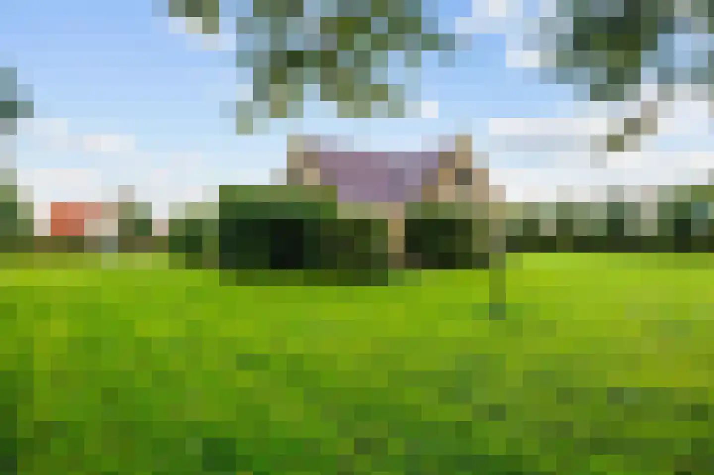 Bargereed 104 Tzummarum thumbnail 43