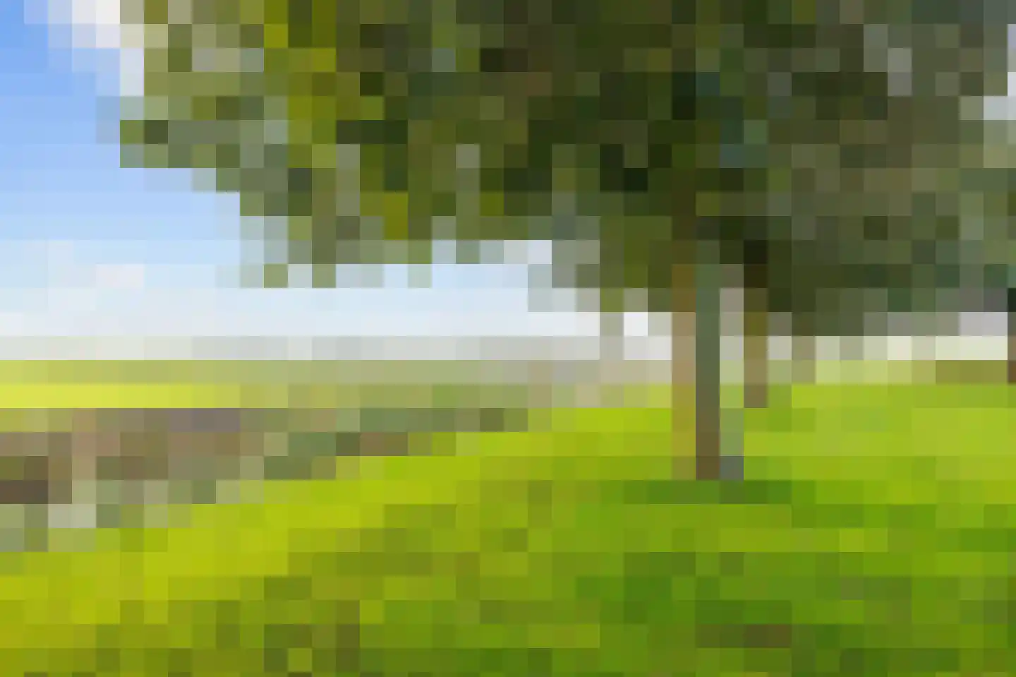Bargereed 104 Tzummarum thumbnail 5