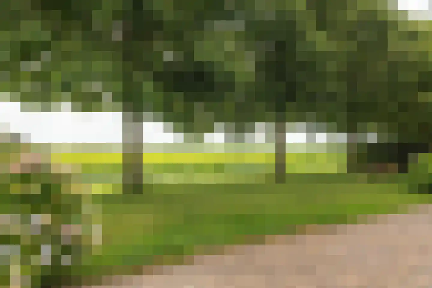 Bargereed 106 Tzummarum thumbnail 11
