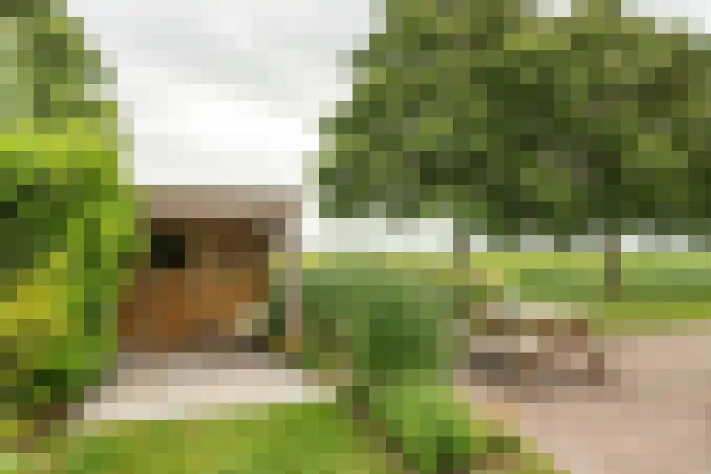 Bargereed 106 Tzummarum thumbnail 12