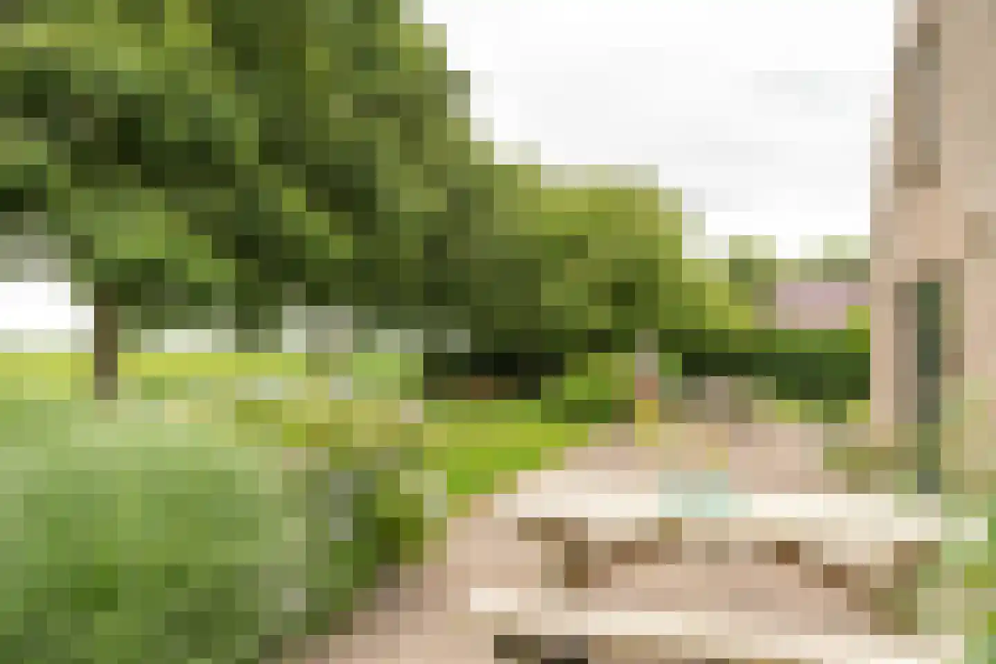 Bargereed 106 Tzummarum thumbnail 13