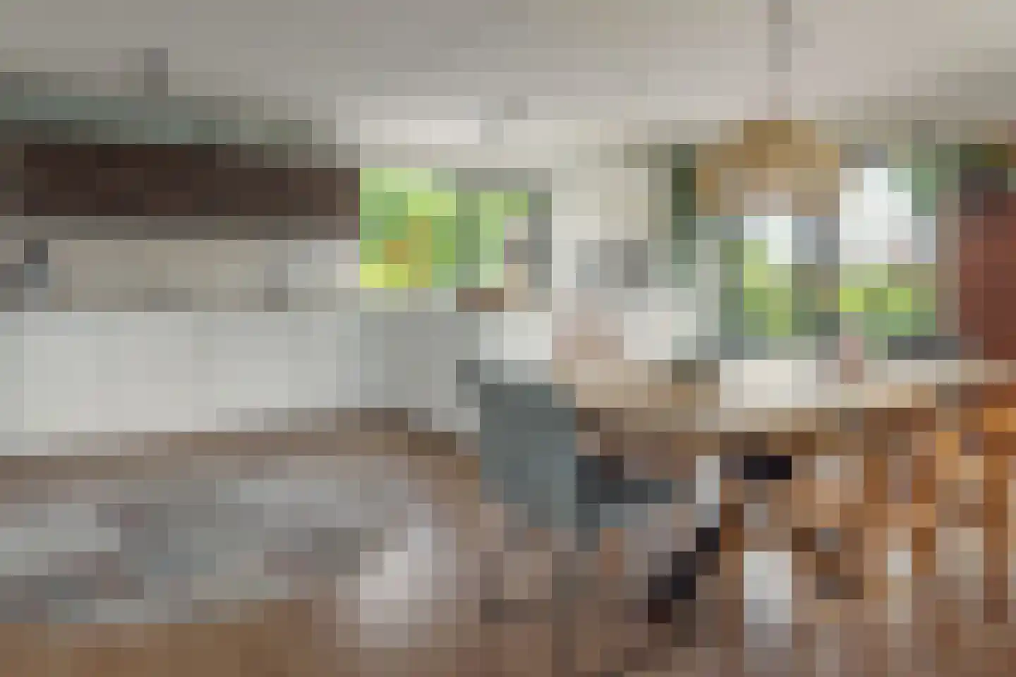 Bargereed 106 Tzummarum thumbnail 18