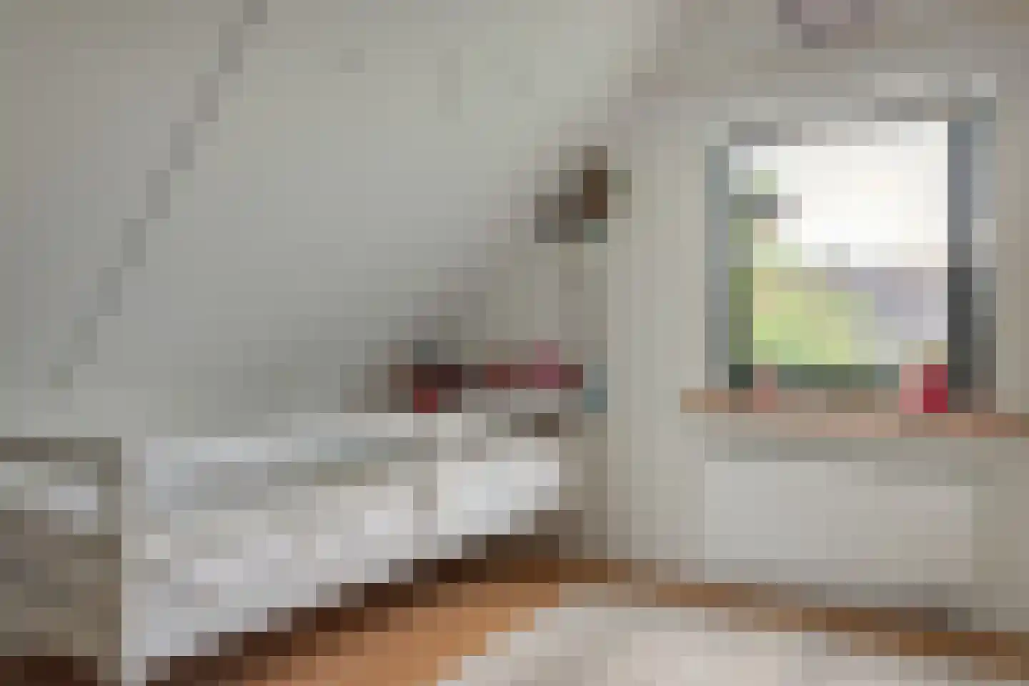 Bargereed 106 Tzummarum thumbnail 31