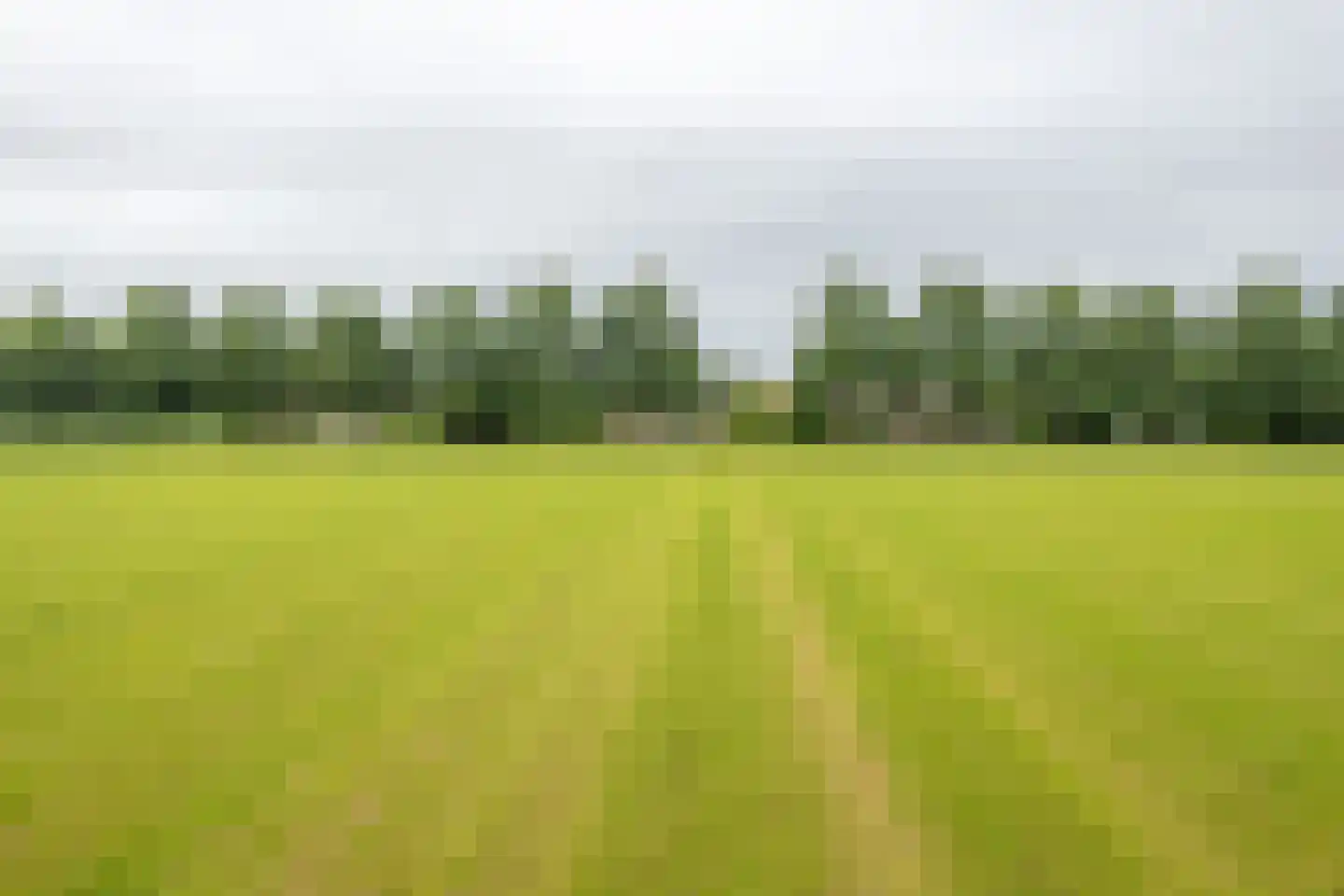 Bargereed 106 Tzummarum thumbnail 39