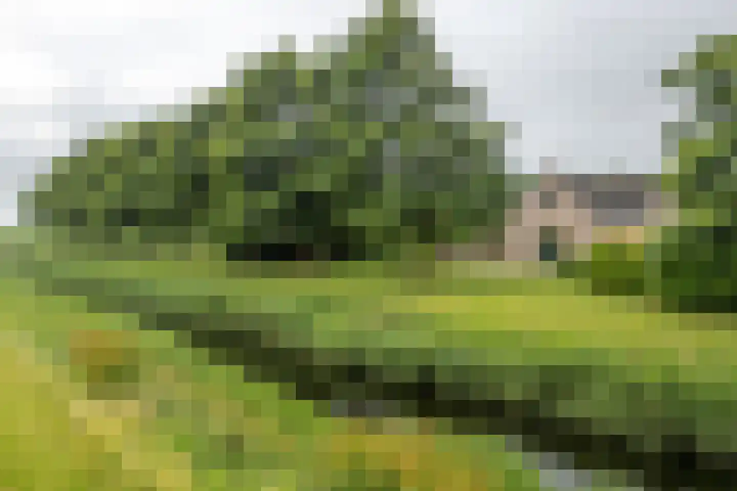 Bargereed 106 Tzummarum thumbnail 41