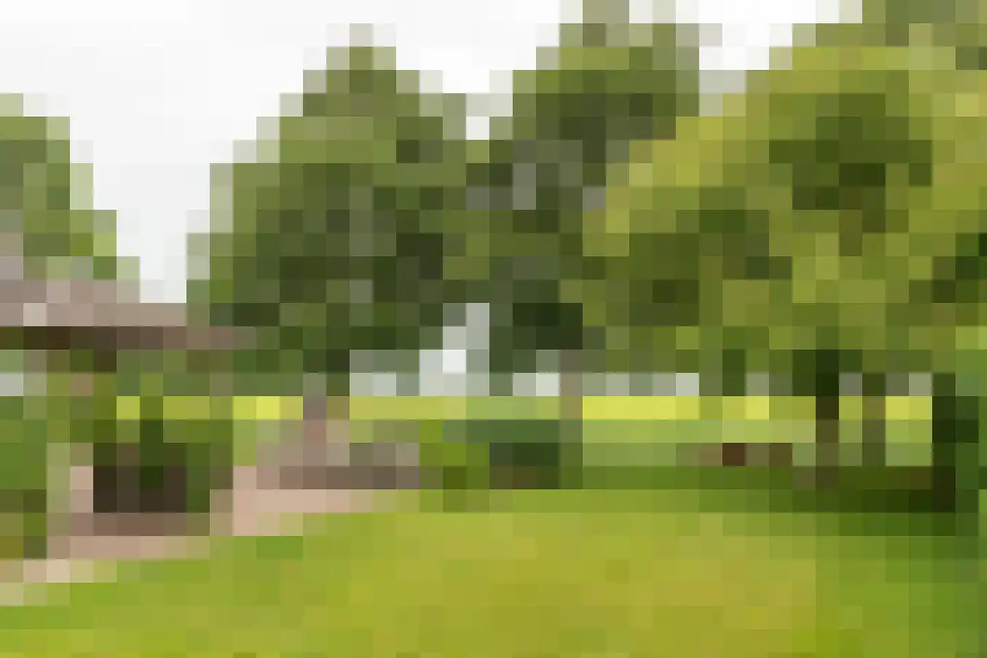 Bargereed 106 Tzummarum thumbnail 8