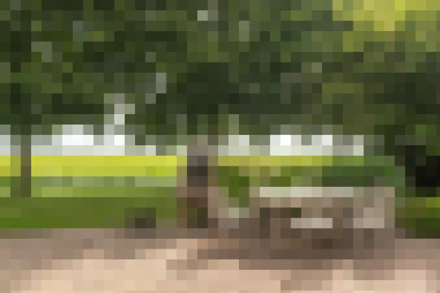 Bargereed 106 Tzummarum thumbnail 9