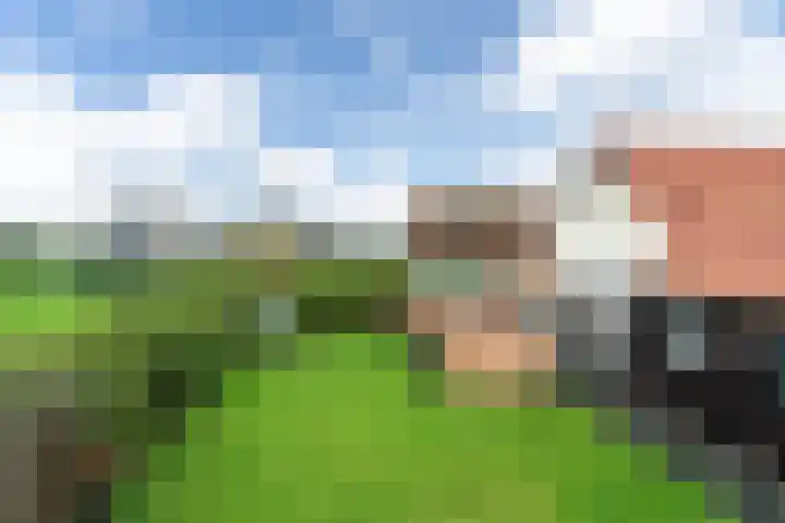 Bargereed 19 Tzummarum thumbnail 16